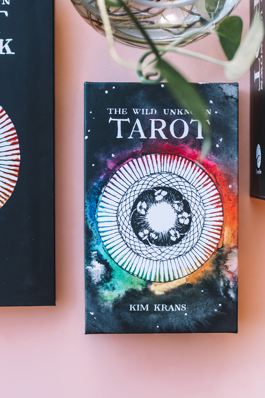 The Tarot of the Wild and Unknown Worlds - 趣味