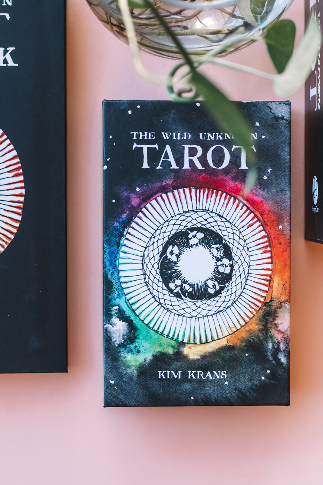 The Wild Unknown Tarot