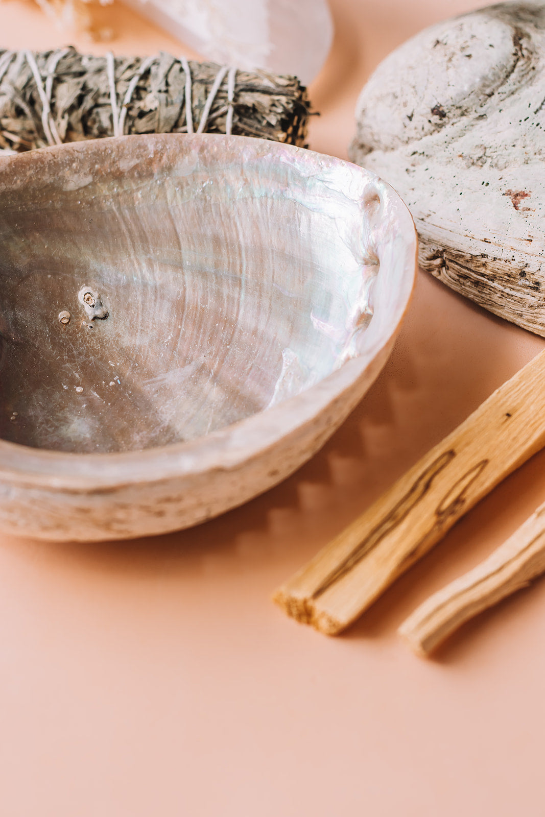 Abalone Shell
